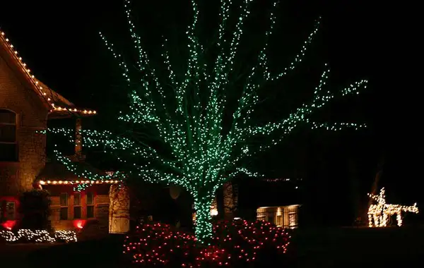 Large tree wrapped in green lights beside a stone home with warm white roofline, red-lit shrubs and a lit reindeer
