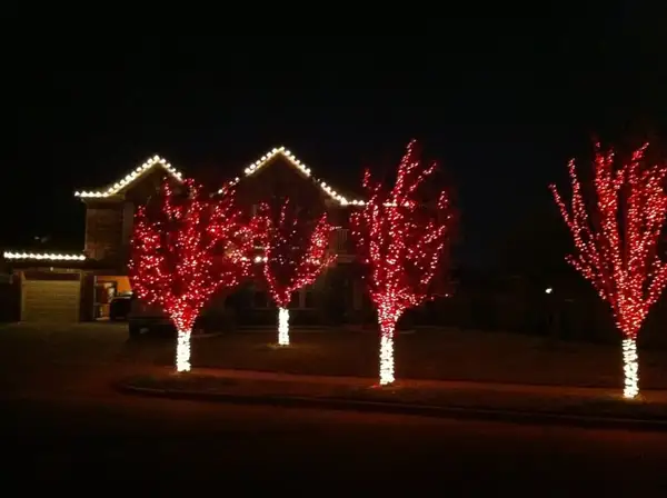 Four trees with red-lit branches and warm white wrapped trunks in front of a home with a warm white roofline