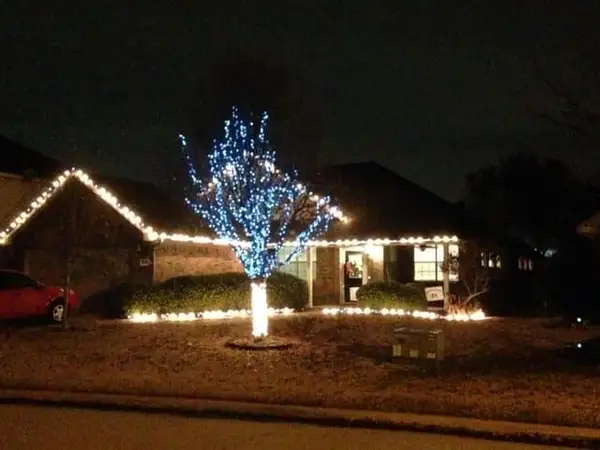 Single-story brick home with warm white roofline lights and a tree with a white-wrapped trunk and blue-lit branches at night