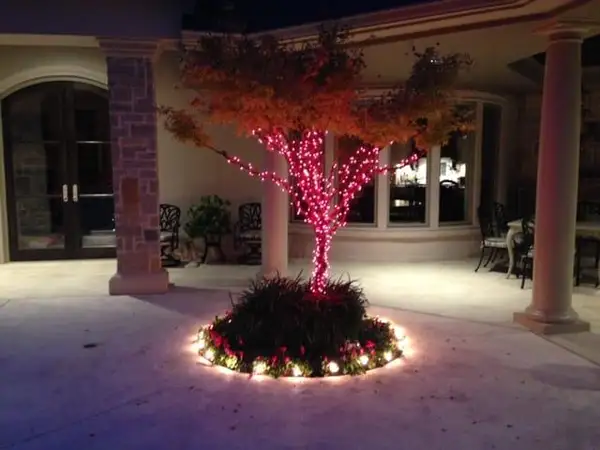 Courtyard tree with trunk and limbs wrapped in red lights, rising from a planter ringed with warm white lights