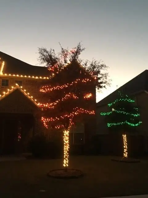 Brick home at dusk with warm white roofline lights and two trees lit red-orange and green over white-wrapped trunks