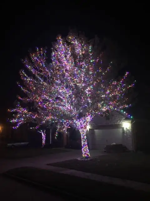 Large tree wrapped in multicolor lights from trunk to canopy beside a home's garage at night