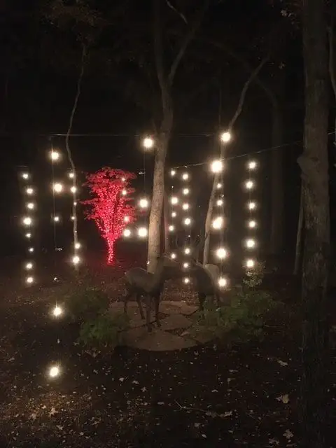Wooded garden at night with vertical strands of warm white globe lights, a small red-lit tree and two deer statues