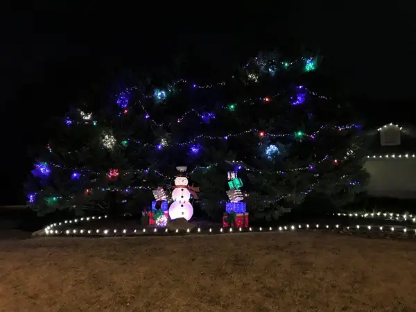 Large evergreen trimmed with horizontal strands of multicolor lights beside a snowman display and warm white bed-edge lights