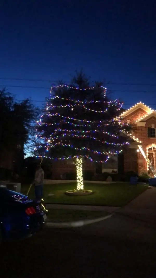 Large tree with a warm white wrapped trunk and horizontal multicolor light strands beside a brick home at dusk