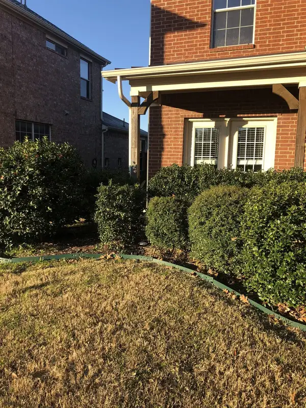 Sheared evergreen shrubs behind curved green steel edging along a dormant winter lawn beside a brick home