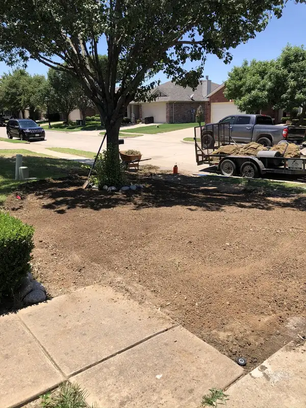 Front yard stripped to bare graded soil around a tree, with removed turf and a roller on a trailer