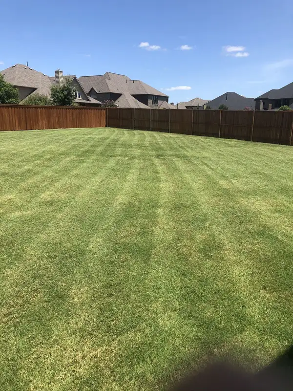 Freshly mowed striped backyard lawn along a stained wood privacy fence under blue sky